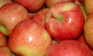 Молдавские яблоки вновь поставляются в Россию