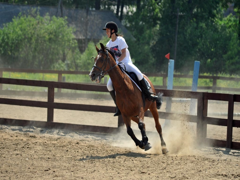 В Иркутской области пройдут соревнования по конному спорту 