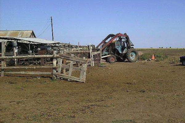 Под Волгоградом трактор раздавил туалет с мужчиной внутри 