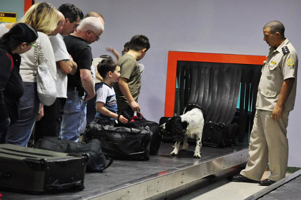 Полиция подбросила взрывчатку в багаж одного из пассажиров в аэропорту Сиднея 