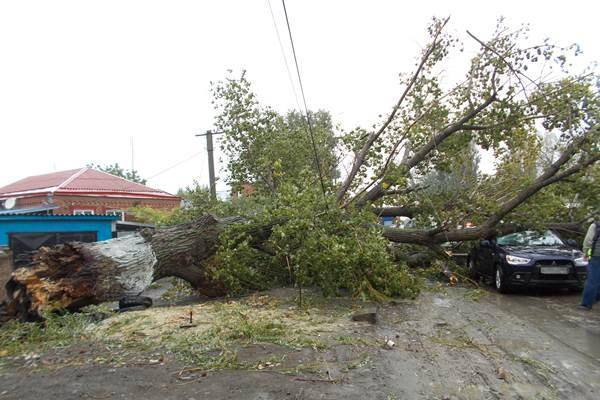 В Новочеркасске в результате урагана 25 тысяч человек остались без электричества 