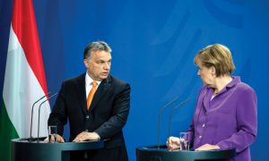 Судьба «зерновой сделки» и мира на Украине обсуждается в Венгрии