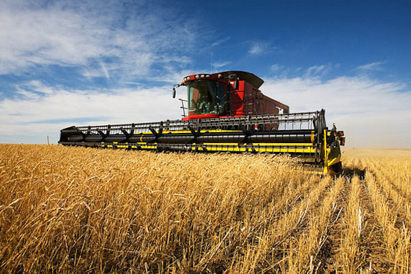 В Госдуме обсудили ответ сельского хозяйства РФ на санкции 