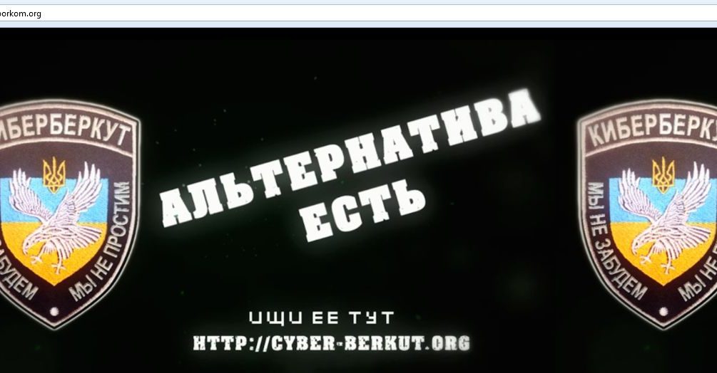 Хакеры заблокировали работу ЦИК Украины 