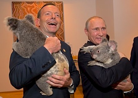 Путин и Эббот на саммите G20 в Австралии