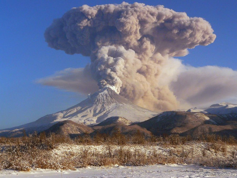 Вулкан Шивелуч на Камчатке устроил выброс пепла 