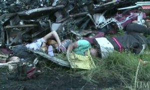 В обломках «Боинга» в Донбассе нашли человеческие останки
