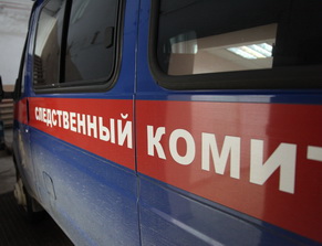 В Петербурге задержали еще двух налетчиков, действовавших под видом следователей 