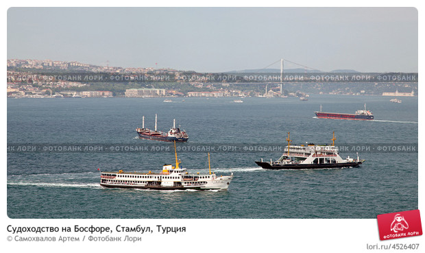 Турция вряд ли пропустит через Босфор украинские танкеры 