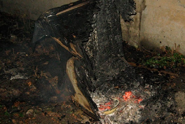 В Ростове женщина подожгла вольер: собака заживо сгорела 