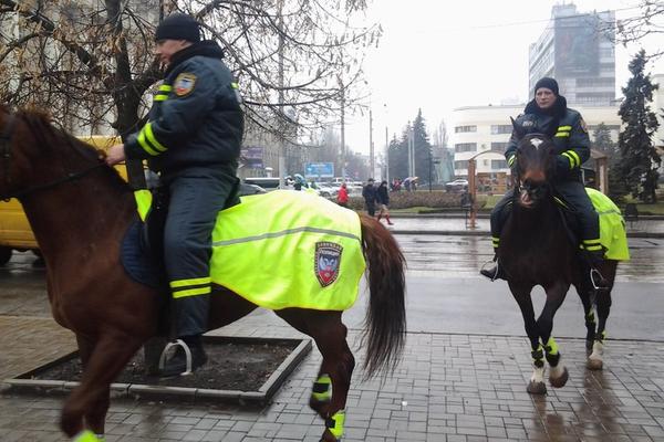 Породистые кони перешли на сторону ДНР 