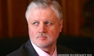 Сергей Миронов одобрил прекращение дела в отношении Светланы Давыдовой