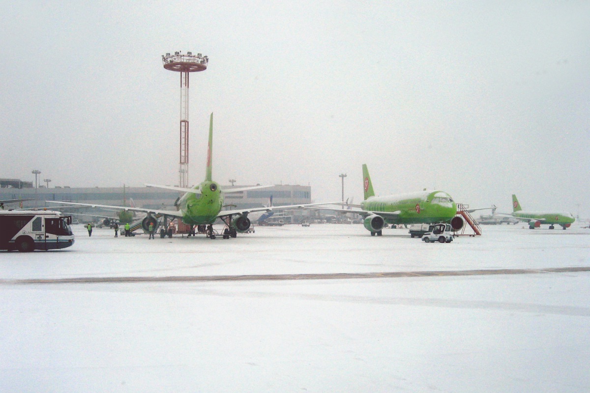 Из-за сильного снегопада в Москве отменили десятки авиарейсов