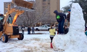 Студенты попытались спасти от сноса трехметровый фаллос из снега
