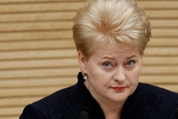 Президент Литвы призналась в тайной помощи Украине 