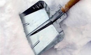 Snow Shovel Сhallenge: Олег Нилов бросает вызов на уборку снега Игорю Албину и другим чиновникам