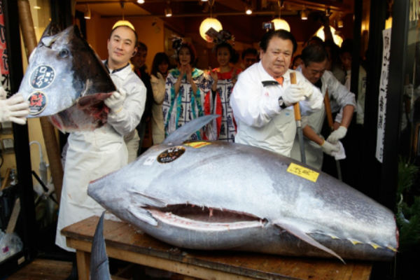 Голубой тунец продан на аукционе за 37,6 тысяч долларов 