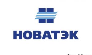 «НОВАТЭК» опубликовал свои данные о зарплате после «Роснефти»