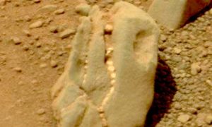 На Марсе обнаружен череп динозавра