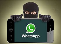 Голландец разработал программу для слежки за пользователями WhatsApp Голландец разработал программу для слежки за пользователями WhatsApp