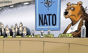Экологи задумались: Чем накурились в НАТО?