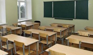 В Челябинске закрывают школы на карантин после смерти ученицы с симптомами гриппа