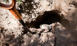 В Якутске мужчина раскопал могилу из-за телефона
