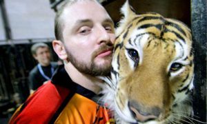 Аскольд Запашный попал в больницу после нападения тигра