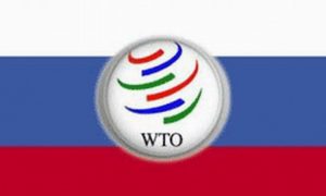 Россия решает: судиться из-за санкций с ВТО или нет
