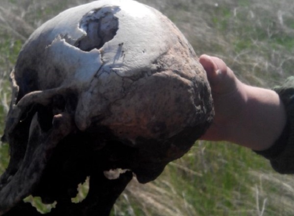 Студенты Ставрополя нашли череп пропавшего 3 года назад парня 
