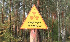 ГСЧС Украины: Пожар в «Чернобыльской пуще» полностью ликвидирован