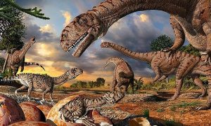 Канадские археологи обнаружили самую большую тропу динозавров возрастом более 100 млн лет
