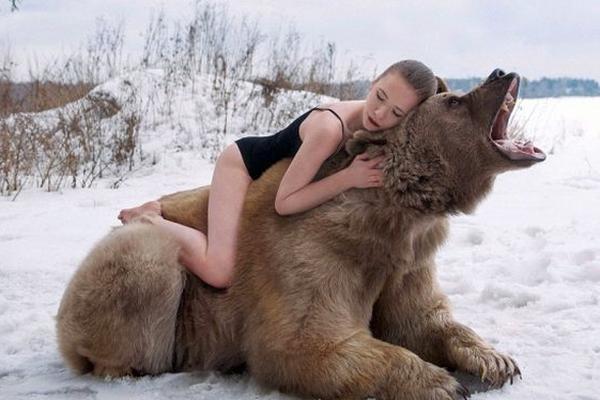 Сексуальная фотосессия русских девушек с медведем шокировала англичан Сексуальная фотосессия русских девушек с медведем шокировала англичан