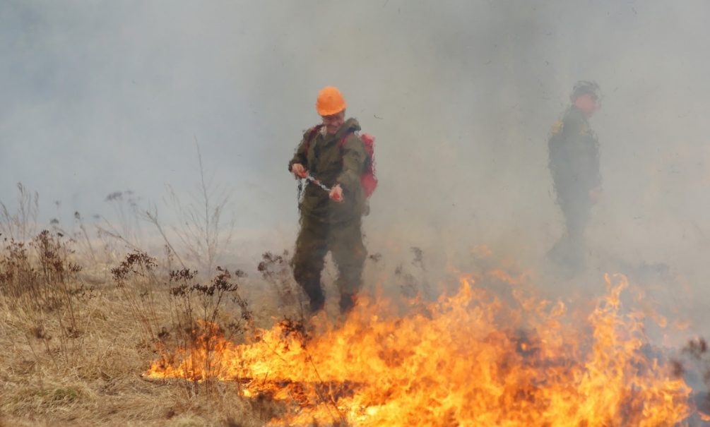 Более 5 тысяч человек тушат пожары в Хакасии 
