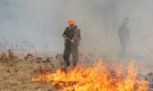 Более 5 тысяч человек тушат пожары в Хакасии