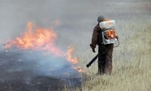 В Хакасии потушены все пожары