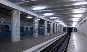 Под поезд московского метро молодой человек упал по неосторожности