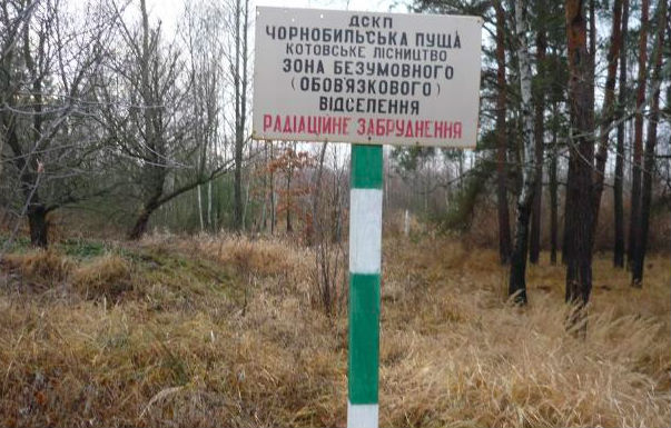 В ГСЧС Украины: На территории «Чернобыльской пущи» открытого огня нет