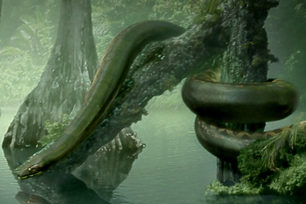 Ученые раскрыли секрет невероятного размножения первых змей 