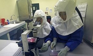 Новосибирские ученые, разработавшие вакцину от лихорадки Эбола, готовят препарат к клиническим испытаниям