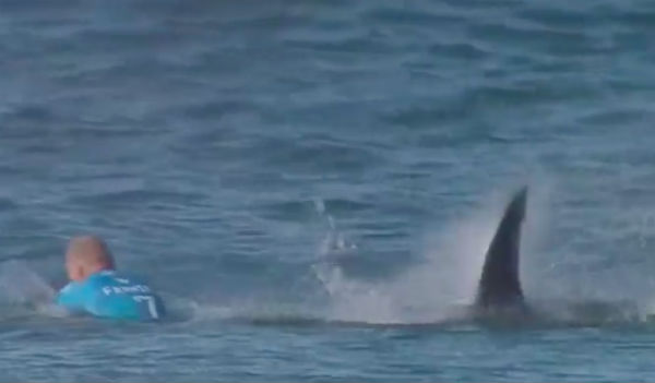 Акула напала на серфера во время чемпионата в ЮАР 