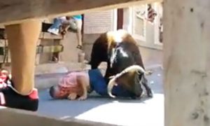 Разъяренный бык насмерть разорвал мужчину на Фиесте в Испании