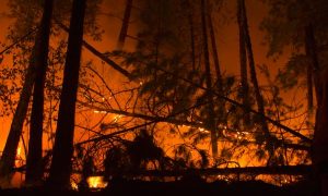 Катастрофа из-за пожаров в Бурятии может произойти в ближайшие дни