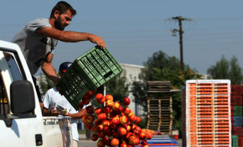 Россияне нашли плюсы в уничтожении санкционных продуктов 