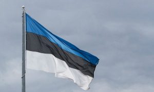 Идею Эстонии о расследовании 