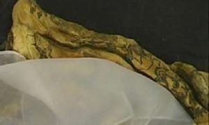 Женщина нашла в постели мумию бывшего мужа