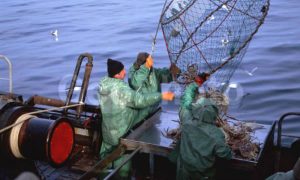 На Камчатке продолжаются поиски рыбаков, пропавших неделю назад
