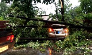 Власти Казани ввели режим ЧС из-за разрушительного урагана