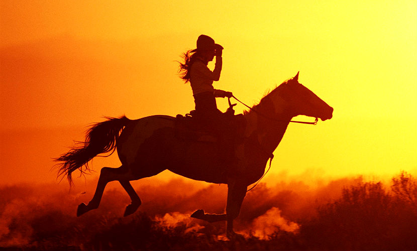 В Якутии сгорела женщина и скаковые лошади при пожаре в конюшне 