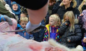 Пушков прокомментировал расчленение льва на глазах у детей в зоопарке Дании